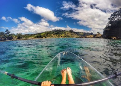 Goat Island Marine Reserve - Clearyak