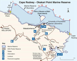 Goat Island Marine Reserve Boundary