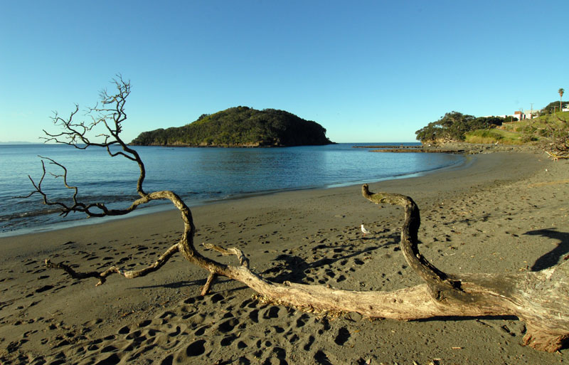 Goat Island Tide Chart