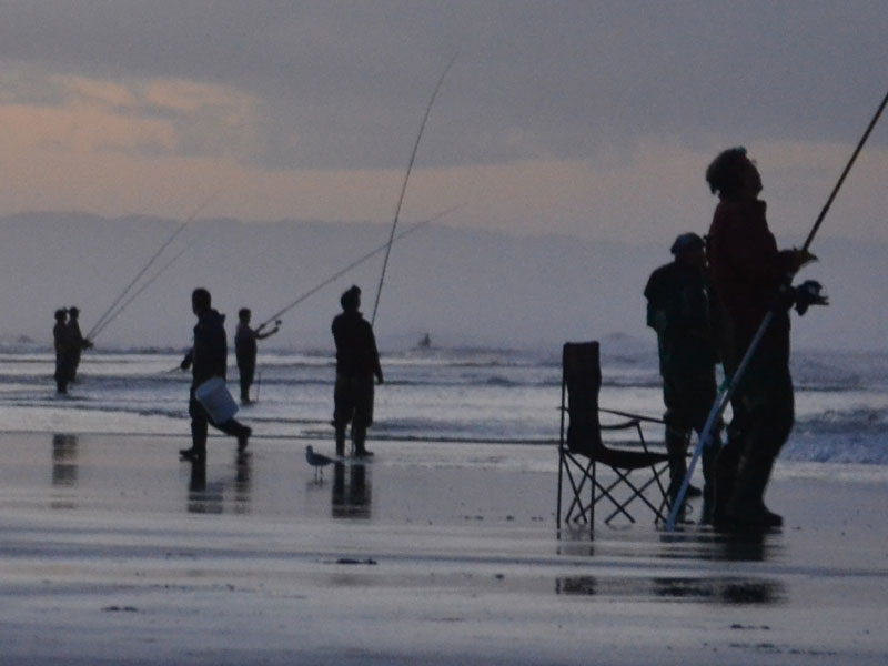 Things To Do In Leigh - Pakiri Beach fishing