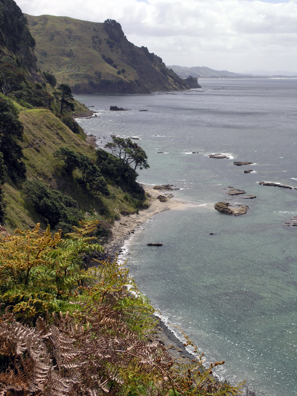 Goat Island Beach