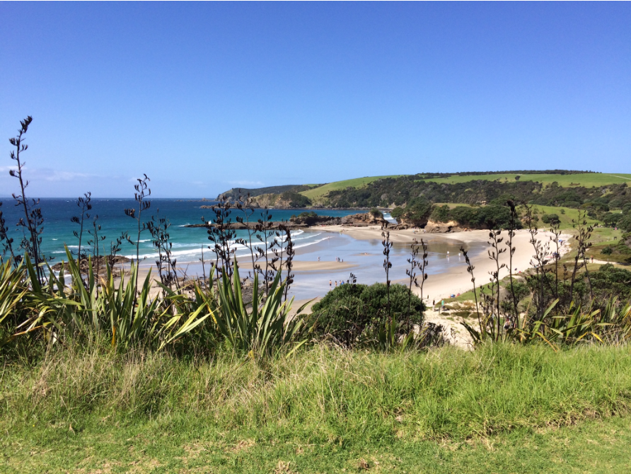 Tawharanui Regional Park