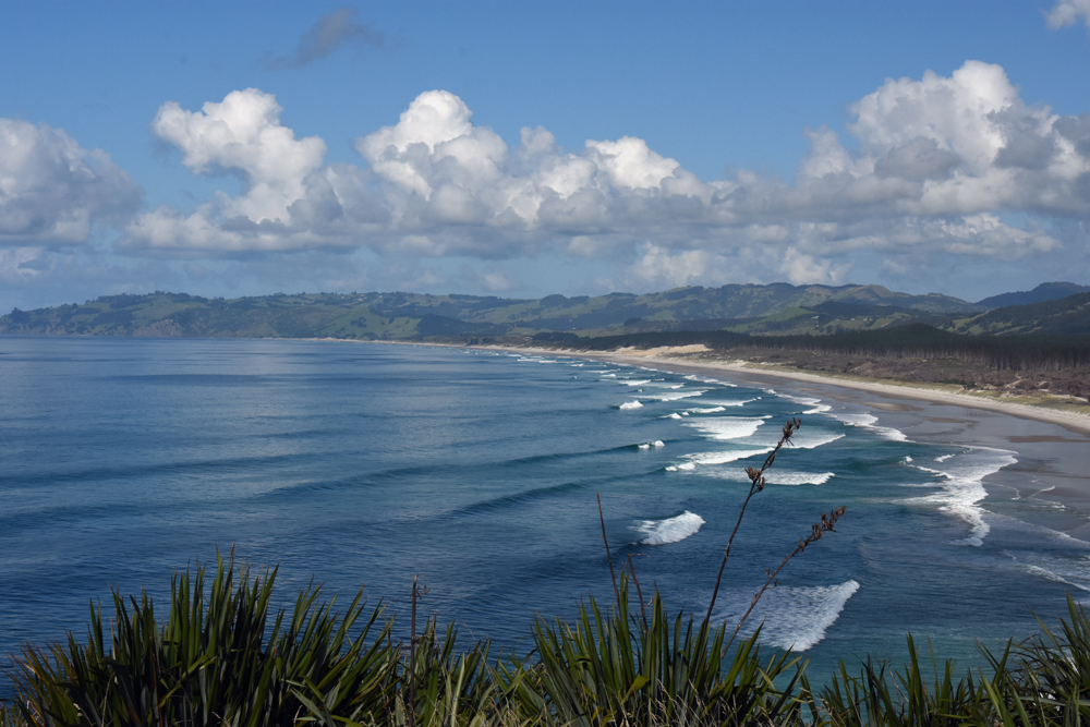 Te Arai beach