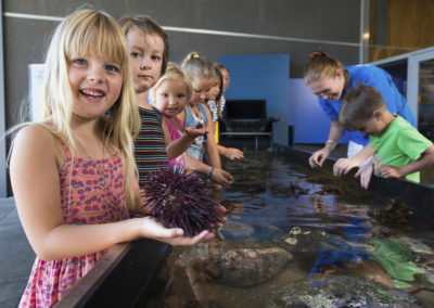 Goat Island Marine Discovery Centre