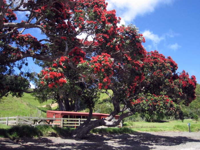 Scandrett Regional Park