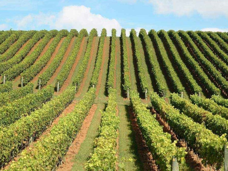 Leigh, New Zealand Escape to Leigh NZ Things to See Places to Go