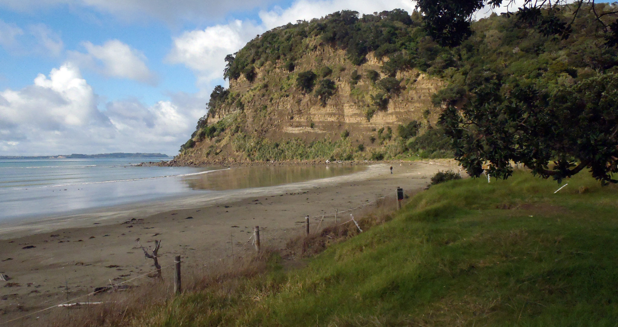Scandrett Regional Park
