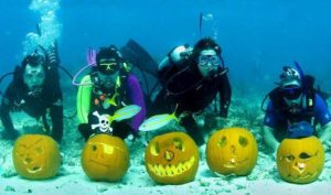 Goat Island Dive & Snorkel